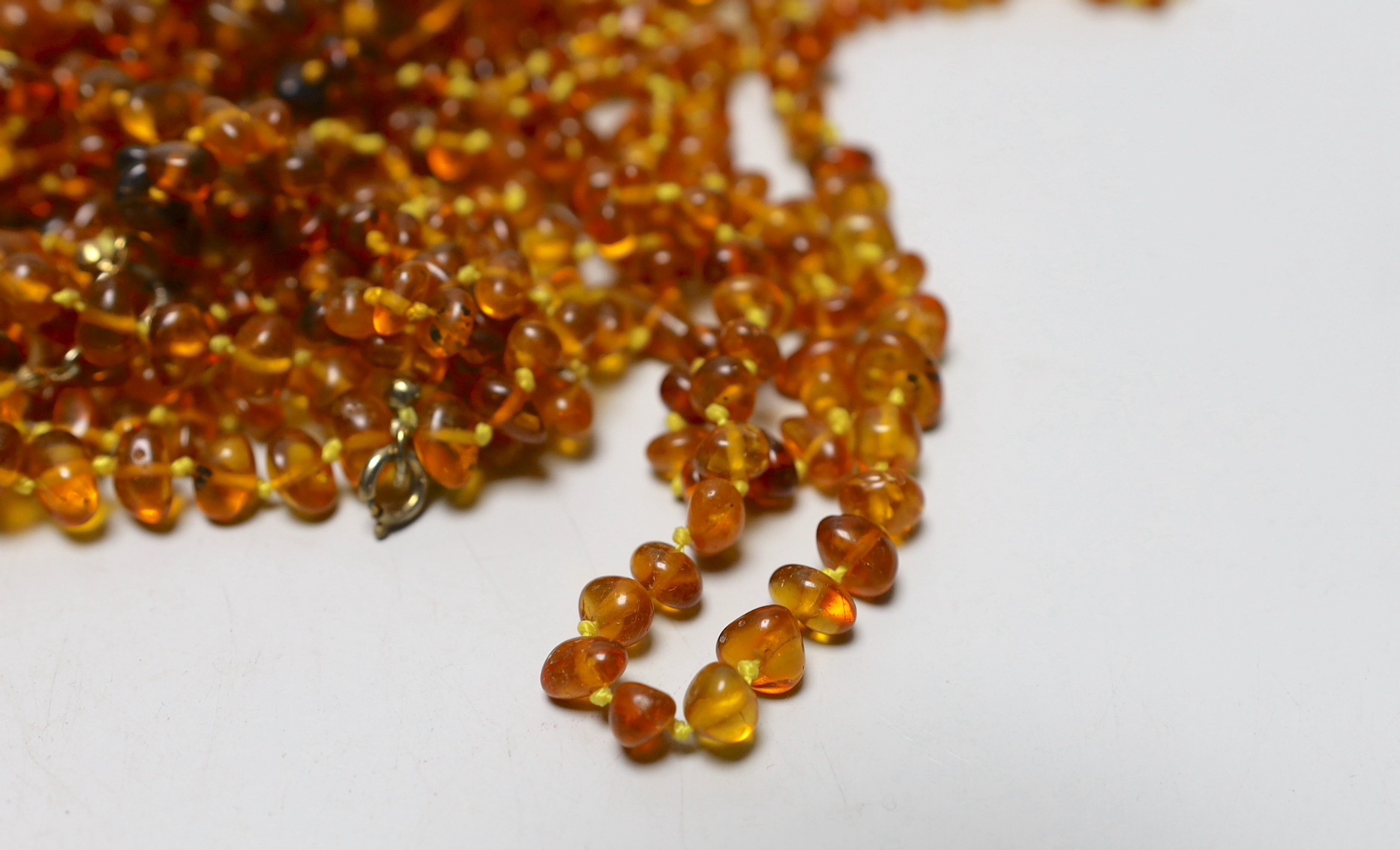 A collection of amber necklaces.